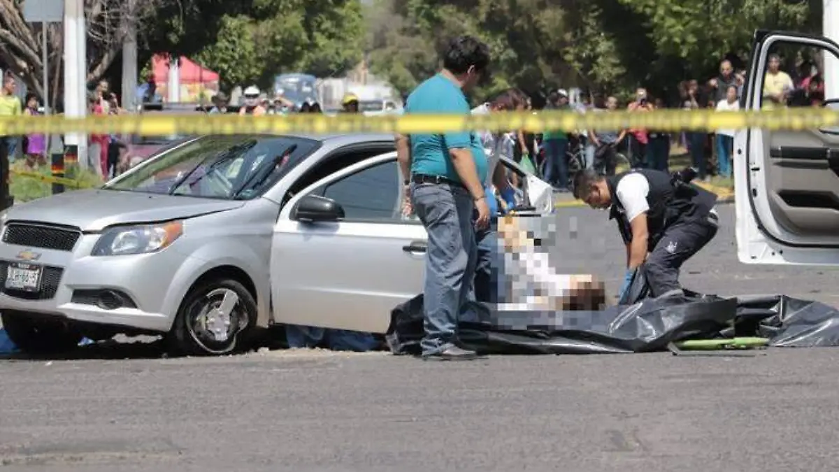 Joao Maleck accidente